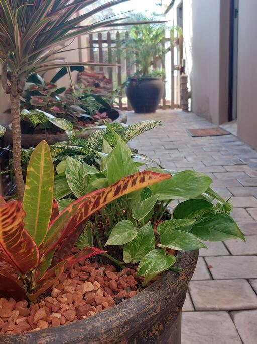 Apartamento Hide Away On 21 Mossel Bay Exterior foto
